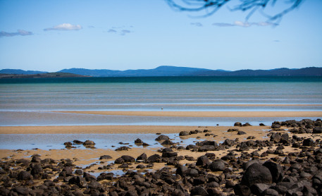 Low tide