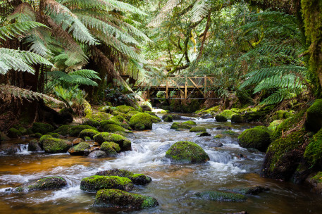 Bei den St. Columba Falls