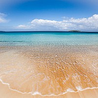 IMG_7106