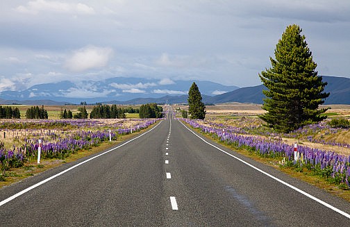 Road across the high country near Lake Pukaki